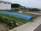 霧島市溝辺町麓　売地　